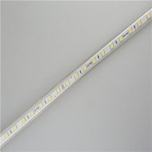 AC110V LED Tape light For Shop Home Bedroom