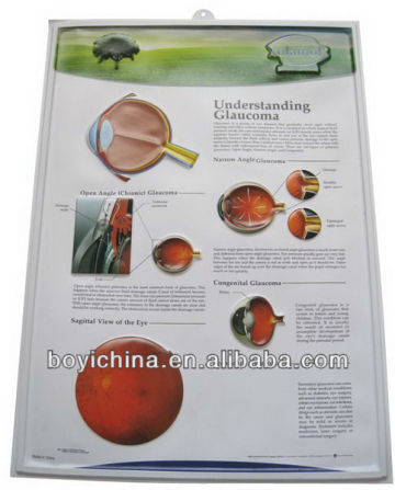 Promotional 3d Medical Education Poster Eyes Protection Poster