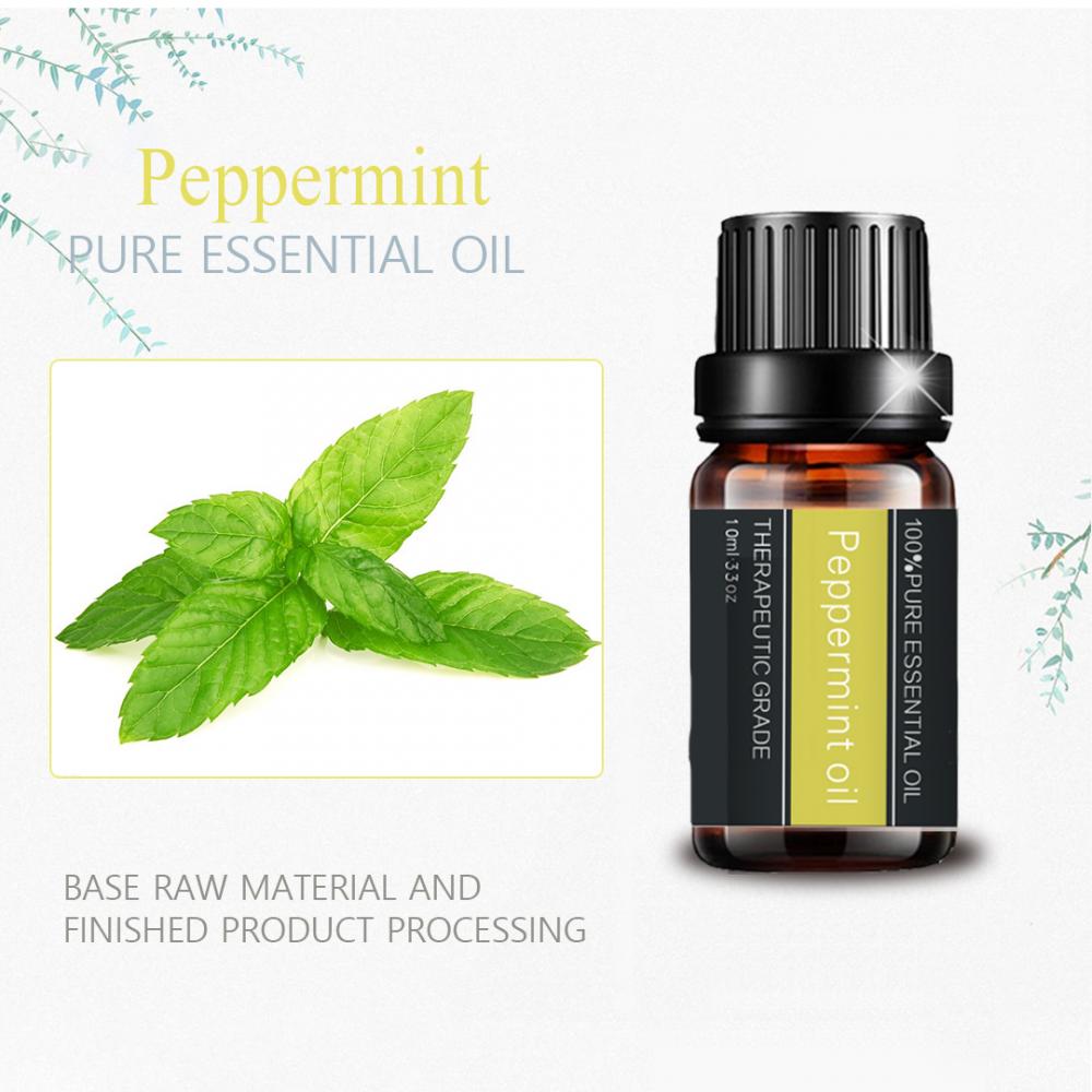 Peppermint orgánico Aceite esencial 100% Pure Natural Planta