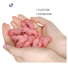 Wholesale Frozen Feeder Mice and Rats for Reptiles, Carnivores, and Birds of Prey