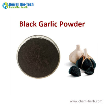 Aged Black Garlic Extract Powder 100:1 With Good Price