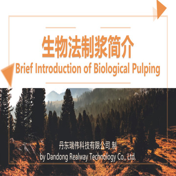 Rice Straw Pulp Making Biological Method Pulp