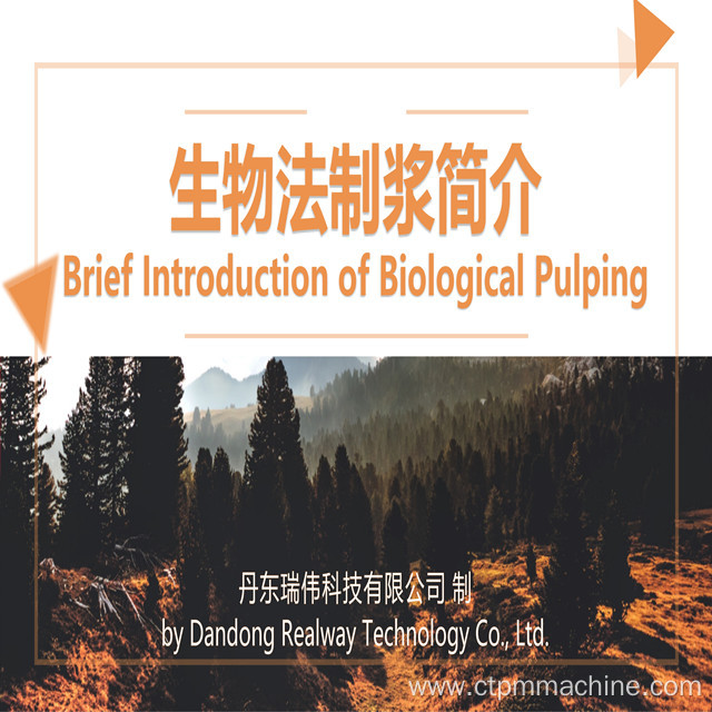 Rice Straw Pulp Making Biological Method Pulp