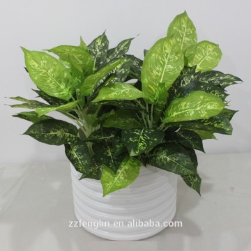 cheap wholesale indoor decorative Variegated Dieffenbachia planter artificial dieffenbachia plant