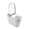 Electronic Smart Toilet With Heated Toilet Seat