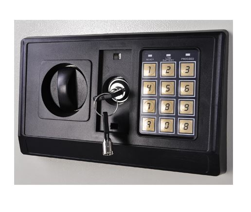 Electronic Safe with Ea Panel, Economic Safe for Home and Office