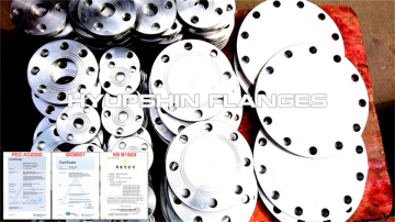 Class 300 ASTM A105 B16.5 BLRF Flange