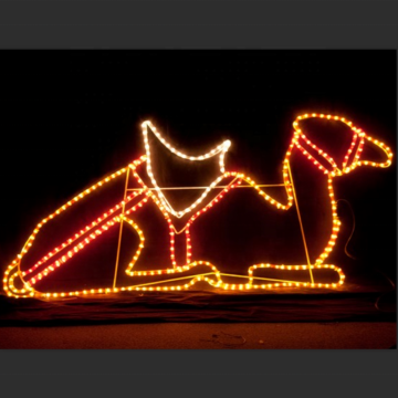 Luminous Camel LED Lights
