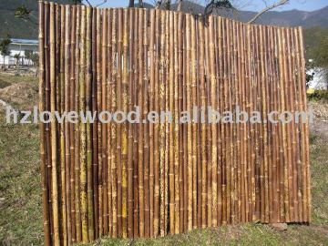 Bamboo Fence Speckled