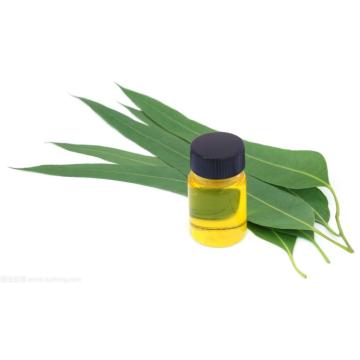 Bulk Lemon Eucalyptol Essential Oil Factory Harga