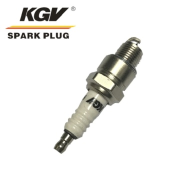 Small Engine Double Iridium Spark Plug D-BP6HIX