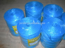 pp tomato twine blue color