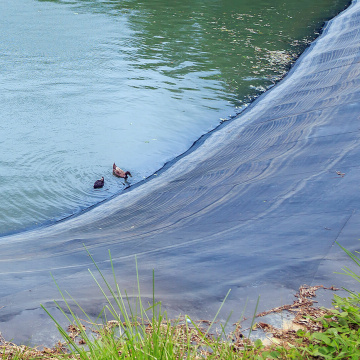 Geomembrana 1 มม. การทำฟาร์มปลา HDPE Pond Liner อินเดีย