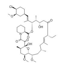 Pimecrolimus agen imunonutrisi Cas No 137071-32-0