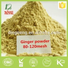 new crop ginger powder 100% natural pure powder