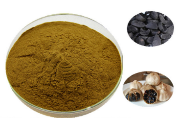 Flash Sale the Healthy Black Garlic powder