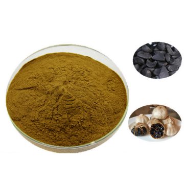 Pure Black Garlic Powder Mesh 60