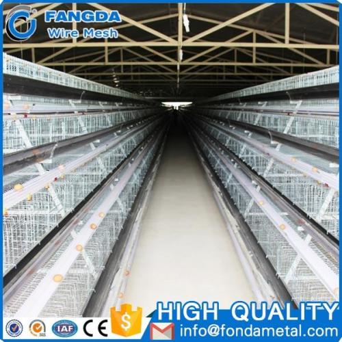wholesale Poultry Farm Equipment/Broiler Cage Poultry Equipment