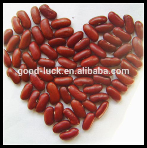 2014 Crop English Red Kidney Bean, Dark Red Bean