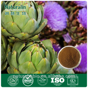 Artichoke Extract for Health Benefits/ Artichoke