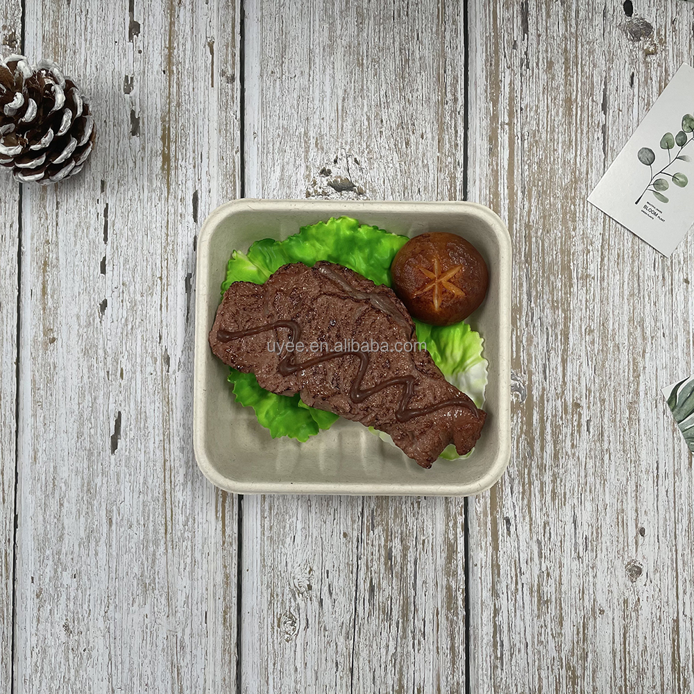 disposable bagasse pulp meat 14d tray