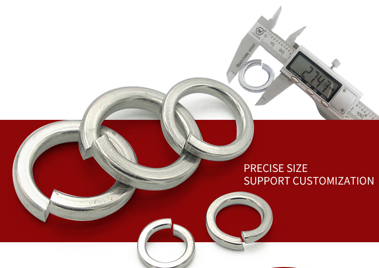 Custom made Various Stainless Steel Spring Washers