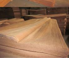 Bintangor--Okoume--Pine--Meranti--Birch--Hardwood--Poplar--Birch--Combi--Bintangor--Okoume