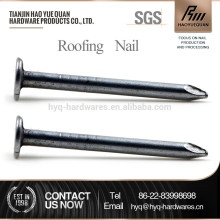 flat head felt nails clout nails