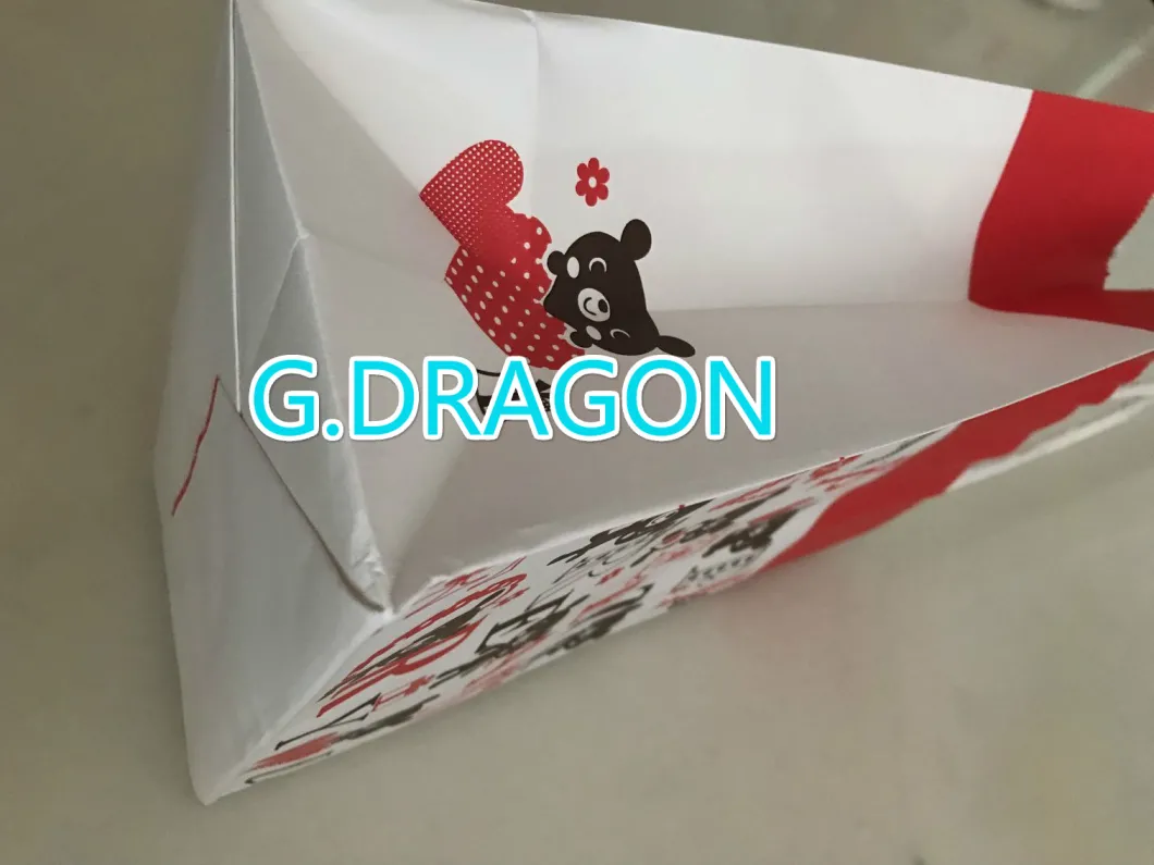 Customized Printing Paper Bag