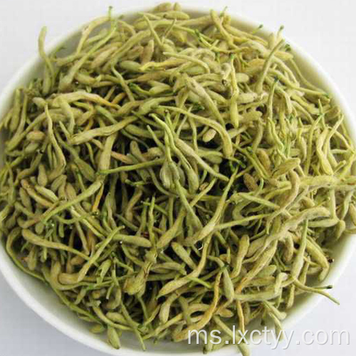 honeysuckle extract goog tea