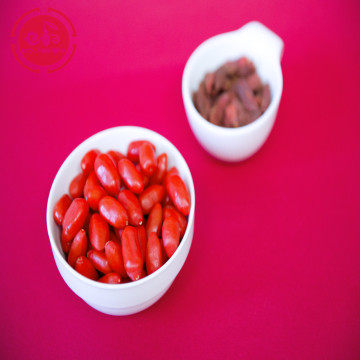 Organic goji berry good for vision and eyes