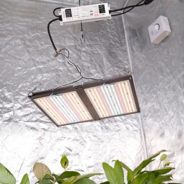 Bán buôn phổ biến DIY Quantum Board Grow Light Kits