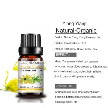 Almacenamiento Ylang Ylang Oil esencial al por mayor con embalaje