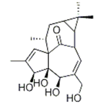 INGENOL CAS 30220-46-3