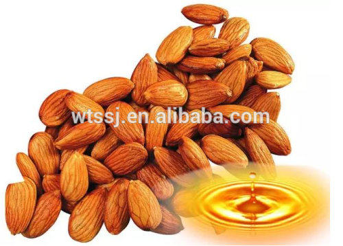 Bulk Sweet Almond Oil Factory Wholesale Almond CO2 Extraction Vegetable Oil Plant Oil For Healthcare