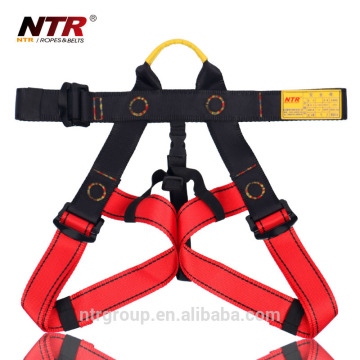 NTR cheap safety belt high tenacity polyester belt