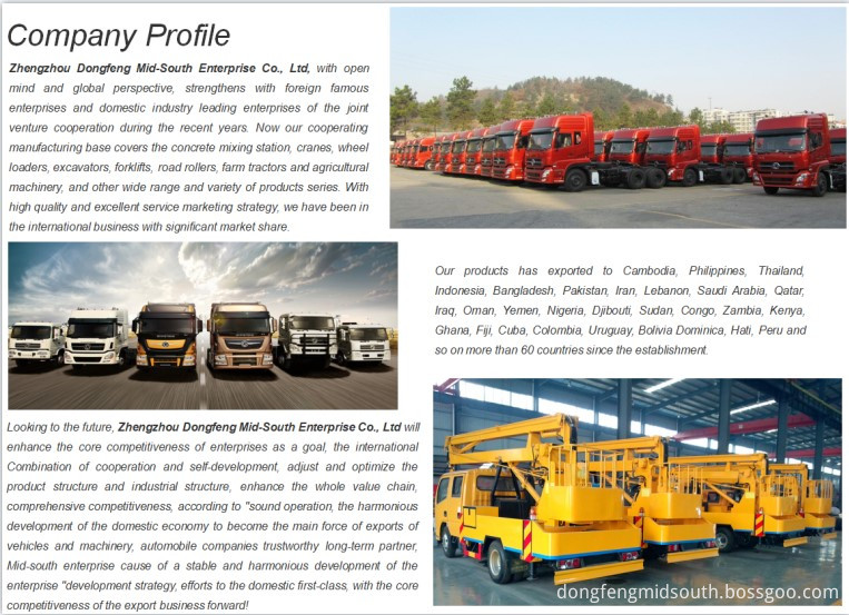 2-Company Profile-Dongfeng