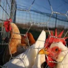 Hexagonal Honey Comb Stainless Steel Wire Mesh