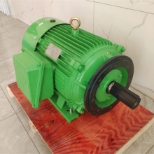 NEMA Premium Efficiency 30hp 286TC 3600RPM AC Electric Motor