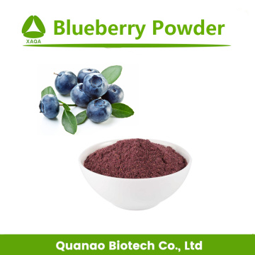 Spray Dried Freeze Dried Blueberry Fruit Juice Powder