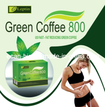 Green Coffee 800 Weight Loss Leptin Slimming Coffee Ecc-2