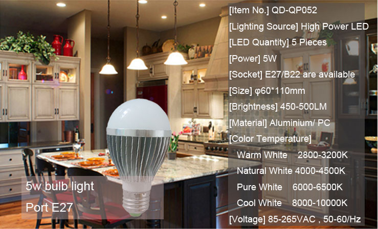 5W LED Bulb Light