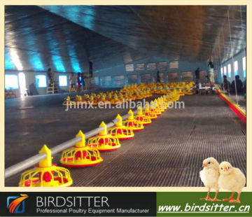 made in China fully automatic rearing equipment for chicken