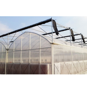 Agricultural Low Cost Plastic Film Covered Greenhouse