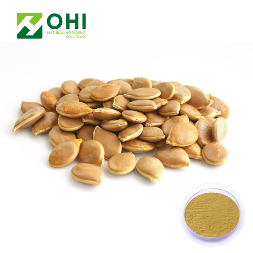 Pumpkin Seed Extract (Cushaw Seed) Powder