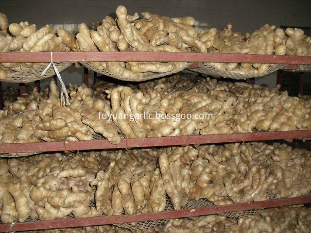 Air Dried Ginger