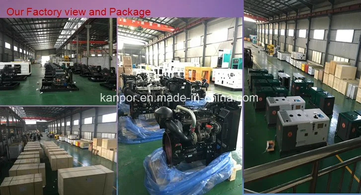 50kVA 40kw China Manufacturer with Weifang Ricardo Engine Diesel Generators