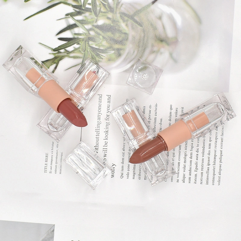 Top Quality Capsule Lipstick Matte Cosmetic Vintage Lipstick OEM Makeupred Lipstick Private Label