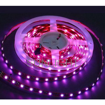 Epistar super bright 5050 purple LED strip