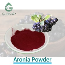 Spray Dried Aronia Powder for Functional Food Formulation